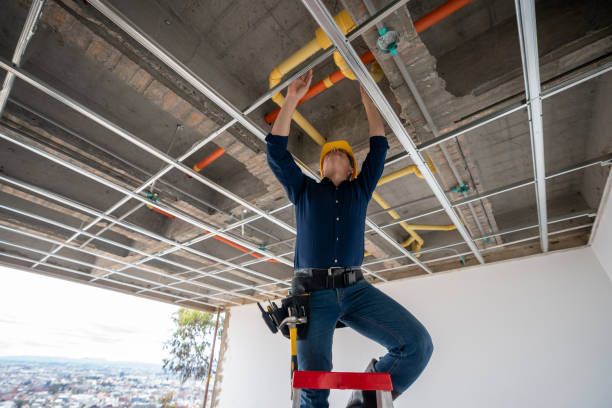 Best Plumbing Inspection Services  in Vandenberg Village, CA